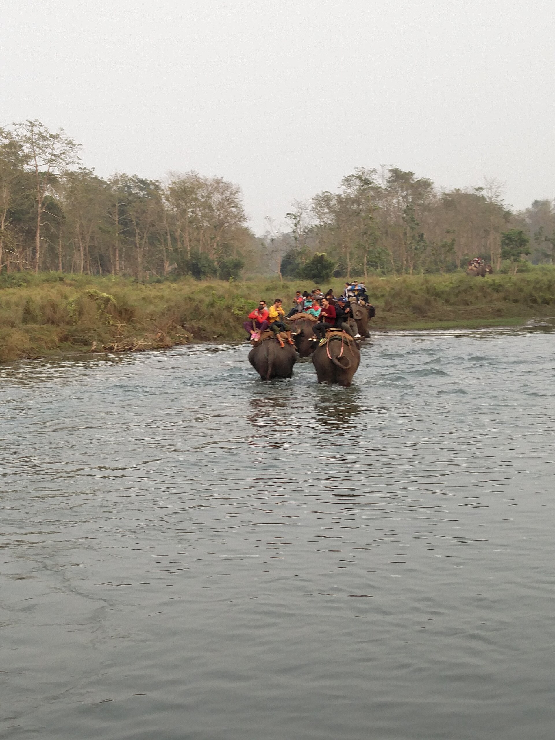 Chitwan Luxury Wildlife Safari